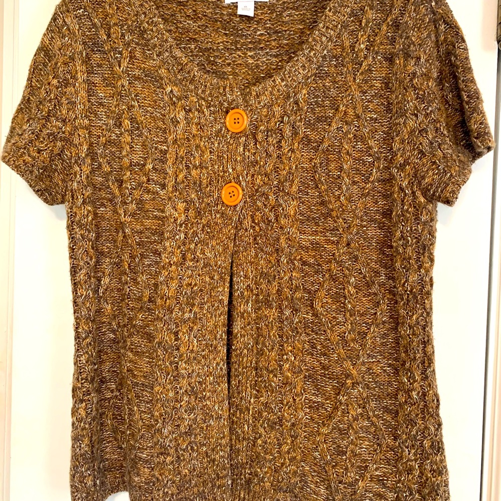 Dress Barn sweater